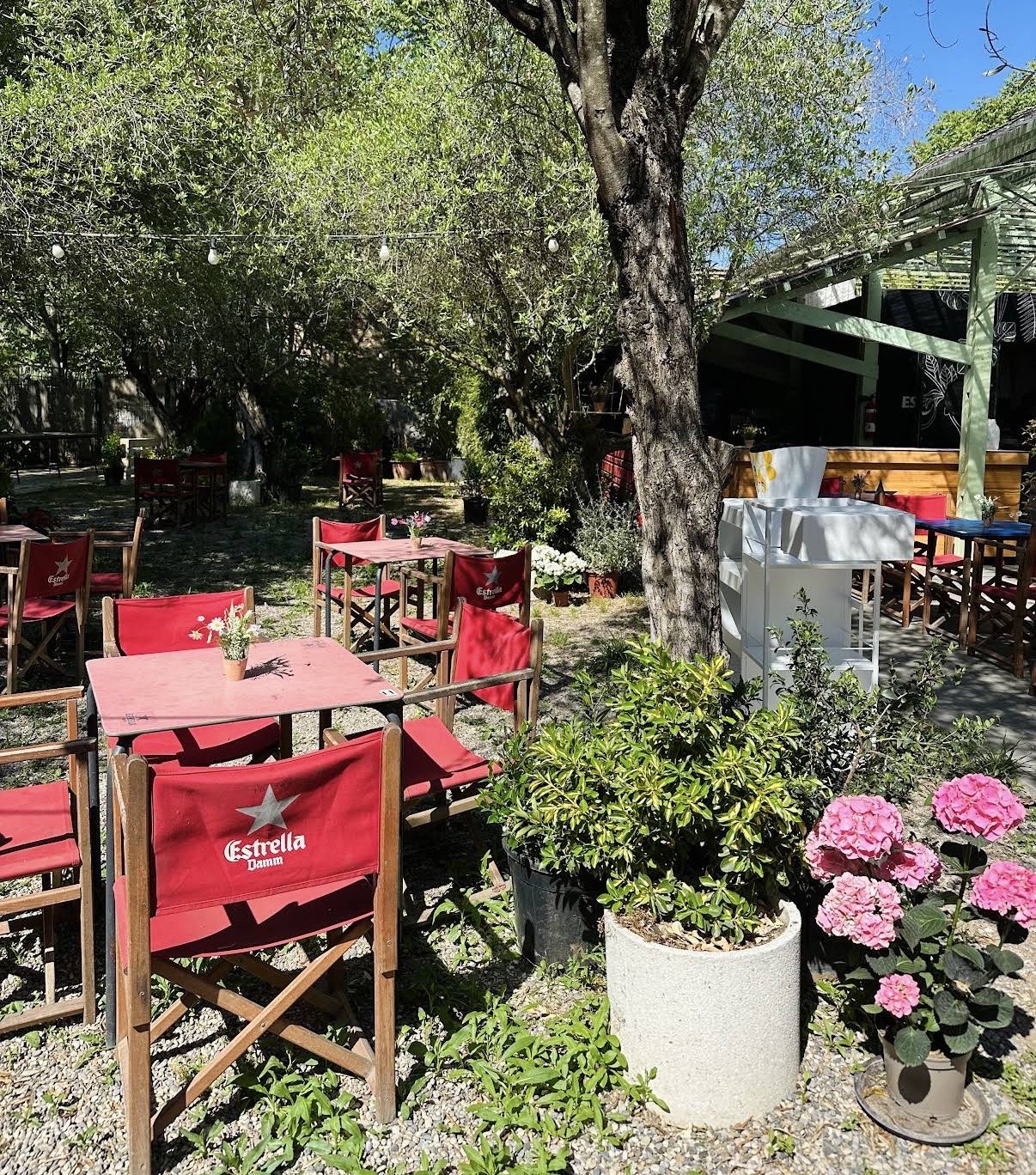 Nuestro jardín con árboles, flores y sillas rojas
